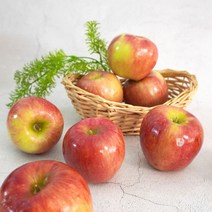 더조은푸드 [더조은] 아리수 사과 가정용 5kg 29-33과, 1