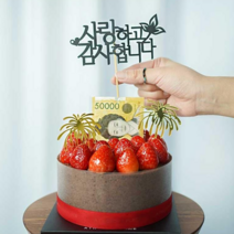 [차렌시아] 돈 나오는 케이크 돈 뽑는 용돈 박스 반전 케이크 돈티슈 만들기 DIY세트, 3. 케이스(중형)+토퍼(사랑하고감사합니다)