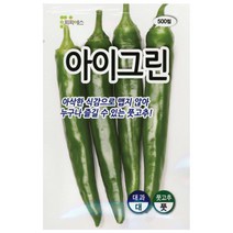 23년도 아이그린 고추씨앗 아삭이 500립 피피에스