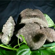 에코농원 농장직송 열매마 (넝쿨마 하늘마 생마 산마 참마 효능 열매마잎), 1통, 1kg