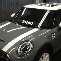 미니쿠퍼 자동차 MINI 포인트 차량용 스티커, MINI-M, 핑크