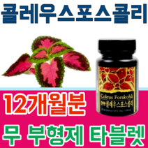 식품 안정선 검사 통과한 힐링 콜레우스 포스콜리 콜리우스 포스코리 간편하게 먹는 무 부형제 스테아린 마그네슘 이산화규소 없는 무첨가 타블렛 파는곳 추천, 12