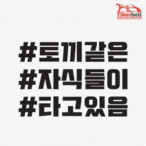 차량스티커 토끼같은 자식들이 타고있음 첫차선물 레이꾸미기 레이실내 데칼시트 데칼, 1개, 블랙