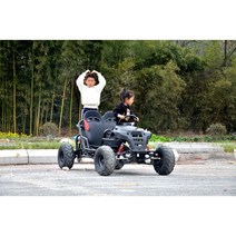 고카트 전기 4륜 전동 2인용 카트라이더 레이싱 좌석, free, 2인 전기 가솔린
