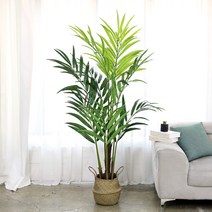인조나무 조화화분 아레카야자 투톤 킹겐차팜 180cm, 1개