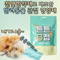 강아지 관절약 슬개골 고양이관절 노견 영양제