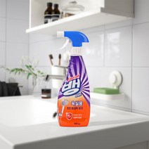 옥시크린 이지오프뱅 욕실용 세정제 500ml, 1개