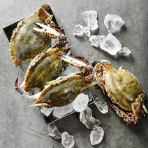 국내산 제철 가을 활 꽃게 산지직송, 4kg