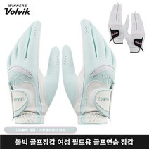 브랜드없음 볼빅 VAJB 골프장갑 여성 양손 연습용 필드용, 선택완료, 여성 양손 민트 19호