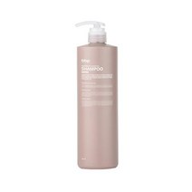 bbp로즈마리 에센셜 천연 건성지복합성 샴푸 500ml, 01. 건성 BBP025