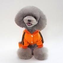 런웨이멍멍 강아지 슈퍼스타 올인원 100%당일발송 기모 추리닝 올인원, 주황