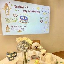 생일 축하 문구 미니빔 파티 배경 꾸미기 현수막 홀로그램 인스타 포토존 만들기 파티용 홈파티 용품 촬영 소품 제작 데코 조명 파티커튼, 그래피티 생일 원형 프로젝터 (배터리)