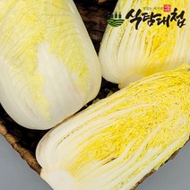 식탐대첩 남도 쌈배추 알배추 3통 특품 개당600g이상, 단품