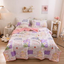 겨울차렵이불 겨울면이불 양털 극세사만화 프린트 봄 여름 퀼트 퀸 기계식 워시 편안한 이불 싱글 더블 담