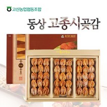 완주동상 [고산농협] 고종시 곶감 2호(1.6kg 45과내), 1세트