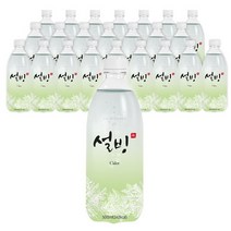 설빙 사이다 500ml x 40개