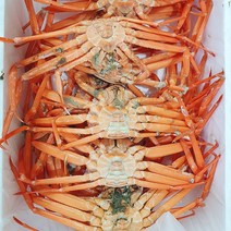 선주직송 구룡포 자숙 연지홍게, 1box, 3kg, A급 고급(수율 7~80%)