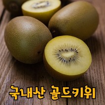 국내산 고당도 골드키위 그린키위 중과 대과 특대과 2kg 5kg, 국산 골드키위 5kg 특대 44개내왜