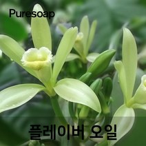 퓨어솝 바닐라 플레이버오일(cosmetic 등급) 립밤만들때첨가 캔들 디퓨져 화장품 만들기, 100ml