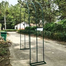 장미 아치 울타리 지지대 넝쿨 정원 화단 포도 오이 꾸미기아치 플라워 프레임 등산 퍼 골라 야외 발코니, 녹색 너비 3.5미터 높이 2.5미터 - v42, 중간