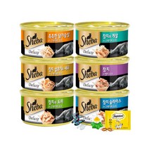 쉬바 캔 BEST 6종x2개(12개)