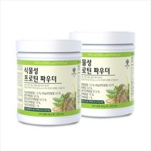 [2세트]식물성 프로틴 파우더_다이어트 식물유래단백질 유당불내증 필수아미노산