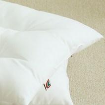 (1+1) 통째로 빨아 쓰는 마이크로화이바 경추 베개솜 (50x30cm) 총 2개 낮은 베개 어린이 주니어, (1+1) 경추베개솜