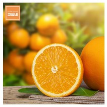 고씨네 프리미엄 오렌지15kg 오렌지 고당도오렌지 귤, 고씨네 프리미엄 오렌지15kg 오_단품, 1개