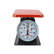 태광 지시저울 100kg 않은뱅이 접시 바늘 저울 _[230322EA], 본상품선택