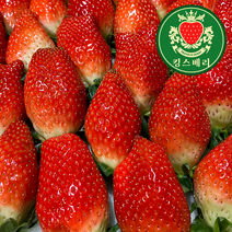 대왕딸기 킹스베리 복숭아향 고당도 딸기 논산 산지직송 당일수확발송, 1팩(400~450g)