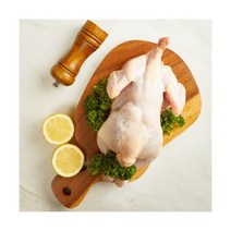 노계1300g이상(대) (산란계) 냉동 1마리 폐계