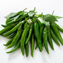 맛있게 매운 청양고추 1kg 3kg 5kg 10kg, 1박스, 청양(특) 3kg