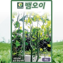 뱀오이 씨앗 사두오이 씨 종자 5립, 1개