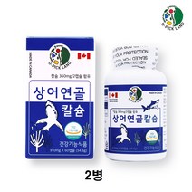 상어연골 칼슘 콘드로이친 뮤코다당단백 상어뼈 어골칼슘 영양제, 2병