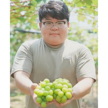 필수 김천 샤인머스켓 고당도 망고포도, 최상품 4kg 4~6송이