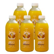 마이요기 늙은 단 통 호박 즙 스무디 주스 전통 맛있는 다이어트 붓기 엑기스 농축액 음료 순수 국산 100% 진액 임산부 산모 산후 빼는 NFC 착즙 음식 쥬스 900ml 5병, 23.수박주스 900ml 5병, 상세설명 참조