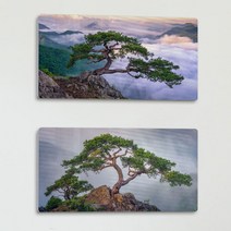 데코밍샵폼아크릴액자38CmX18Cm_무병장수의상징소나무_노프레임액자_af857, 1.건강