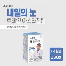 안구 망막 모세 혈관 혈류량 증가 눈 시력 피로도 노화 회복 건강 을 지키는 루테인 아스타잔틴 헤마토코쿠스 영양제, 1BOX(1개월분)