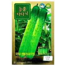 다다기오이씨앗 30알 오이씨앗 백침계 다다기오이