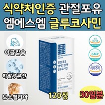 중년 여성 관절 건강 엠에스엠 N 글로코사민 120정 식약처인증 N아세틸 연골 영양제 여자 어머니 아버지 부모님 연골 기능 식품 등산 20대 30대 40대 50대 노인 노년 갱년기 남자