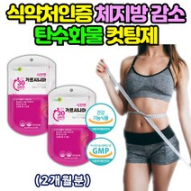 다이어트 보조제 체지방 줄이는 법 살빼는 방법 가르시니아 캄보지아 복부피하지방 뱃살 똥배 종아리 살빼기 HCA BMI 허리둘레 감소 가르시아 효과 효능 두달 단기간 다이어트 2상자
