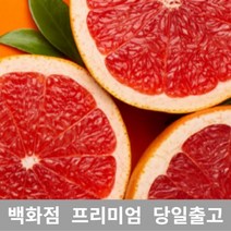 자몽가격 자몽청만들기 자몽 자몽효능 골드자몽 자몽7KG, 7KG