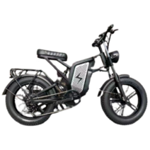 다니엘 전기자전거 자토바이 산악용 MTB 48V 25Ah, 알루미늄