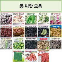 코리아팜 콩 씨앗/호랑이콩/얼룩강낭콩/완두콩/작두콩/적작두콩/빨간강낭콩(왜성)/땅콩/검은강낭콩(왜성)/서리태콩/백태(선풍) 메주콩/흰강낭콩/스파클완두콩/쥐눈이콩/동부콩/렌즈콩/, 8.다-검은강낭콩(왜성) 30g