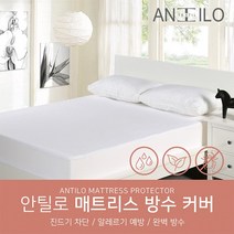 더지스 에타홈 더지스 1+1 방수 매트리스 커버_화이트 Q