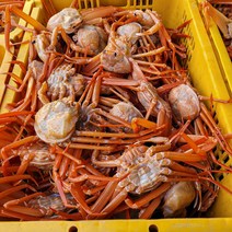 구룡포 산지직송 연지홍게 3kg 프리미엄 / 실속형 / 라면육수용 산지 당일 택배, 프리미엄 3KG, 1개