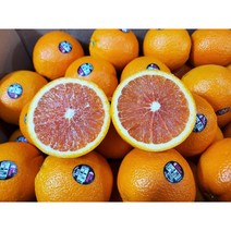 [당도선별] 퓨어스펙 블랙라벨 오렌지 고당도 미국산 오렌지 대과 중과 소과, M사이즈 20과 (3.8~4kg내외)