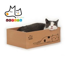 케이알펫츠 리필 고양이 스크래쳐 박스, 5개