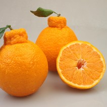 [넉넉한 과일] 제주 돌담농장 한라봉 소과 중과 대과 (1kg / 2.5kg /4.5kg), 4.5kg