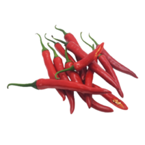 홍고추 250g